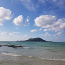 여수초밥 이미지