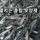 멸치 이미지