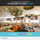 키즈까페어린왕자 이미지
