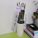 보령(신흑)-103 이미지