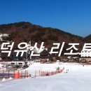 무주덕유산리조트산림욕장 티스토리