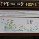 곰골스카이 이미지