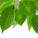 양평엔옥천공인중개사사무소 이미지