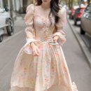 벌룬플라워 이미지