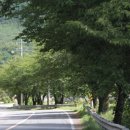 의령 운곡리 고분군 이미지