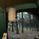 장항오토캠핑장 이미지