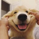 신당동옛날떡볶이 - 서구 문정로170번길 204 | 신당동옛날떡볶이