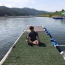 황*중 Daum카페