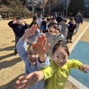 삼손태권도 이미지