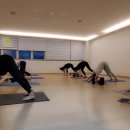 주테라피