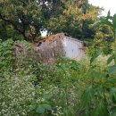 효촌2리 이미지