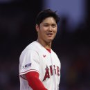 MLB 공식도 “오타니는 어나더 레벨” 인정… 베이브 루스가 환생해도 이렇게는 못 한다 이미지