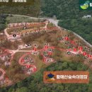 황매산 숲속야영장 이미지