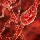 아산중앙연합의원 이미지