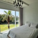 제주애견동반감성숙소 르페도라 이미지