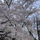 아트포레스트 1관 | 250404 늙은 도둑 이야기, 박철민, 대학로 아트 포레스트 1관