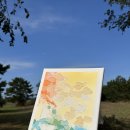 애월화실 이미지