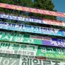 새빛기획 이미지