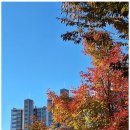 한결행정사사무소 이미지