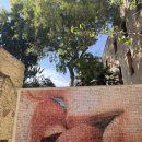 펠리스 | 바르셀로나 고딕야경투어 투어펠리스 내돈내산 후기