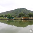 백곡낚시터 이미지