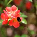 참어울림 이미지