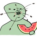 데이브로우 이미지