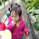 민서농장 이미지