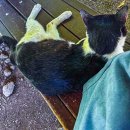 자연체계-산 이미지