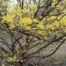 새봄행정사합동사무소 이미지