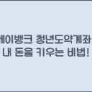 케이뱅크 청년도약계좌, 내 돈을 키우는 비법!