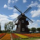 여수오동도민박 이미지