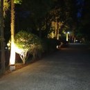 국립남해편백자연휴양림 이미지