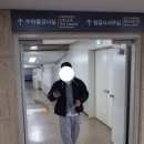 [공지] 홋카이도 여행 후기 1편｜첫날부터 멘탈 털린 썰(김포~도쿄~삿포로)