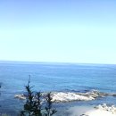 분당장애인자립생활센터 이미지