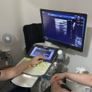 김현태김동민 동물의료센터 이미지