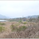 여주-0686 Daum카페