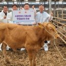 경기수정란이식센터 이미지