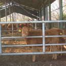 교가1리마을회관 이미지