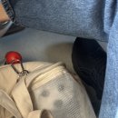 리벤시아 | 부산 애견동반 풀빌라 추천┃광안리 리벤시아 숙박 후기