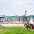 알펜시아 스포츠파크 크로스컨트리 경기장 이미지