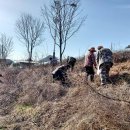 구룡천1 이미지