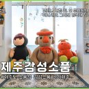 늘푸른바다 피시샵 | 제주공항 근처 소품샵 제주도 기념품샵 선물