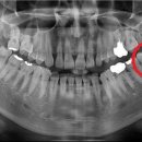 나우치과의원 이미지