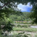 국화향기펜션 이미지