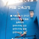 프리다이빙프렌즈