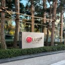 태안디씨플러스상사 | [22하반기]LG유플러스 면접 후기