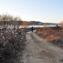 회상나루관광지 이미지