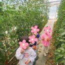 또래모아어린이집 이미지