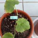 프럼스마일 이미지